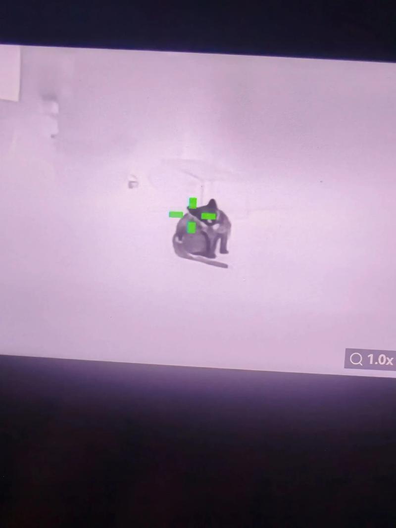 椒盐龙头鱼的做法窍门